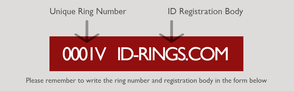 lost bird ID ring identification